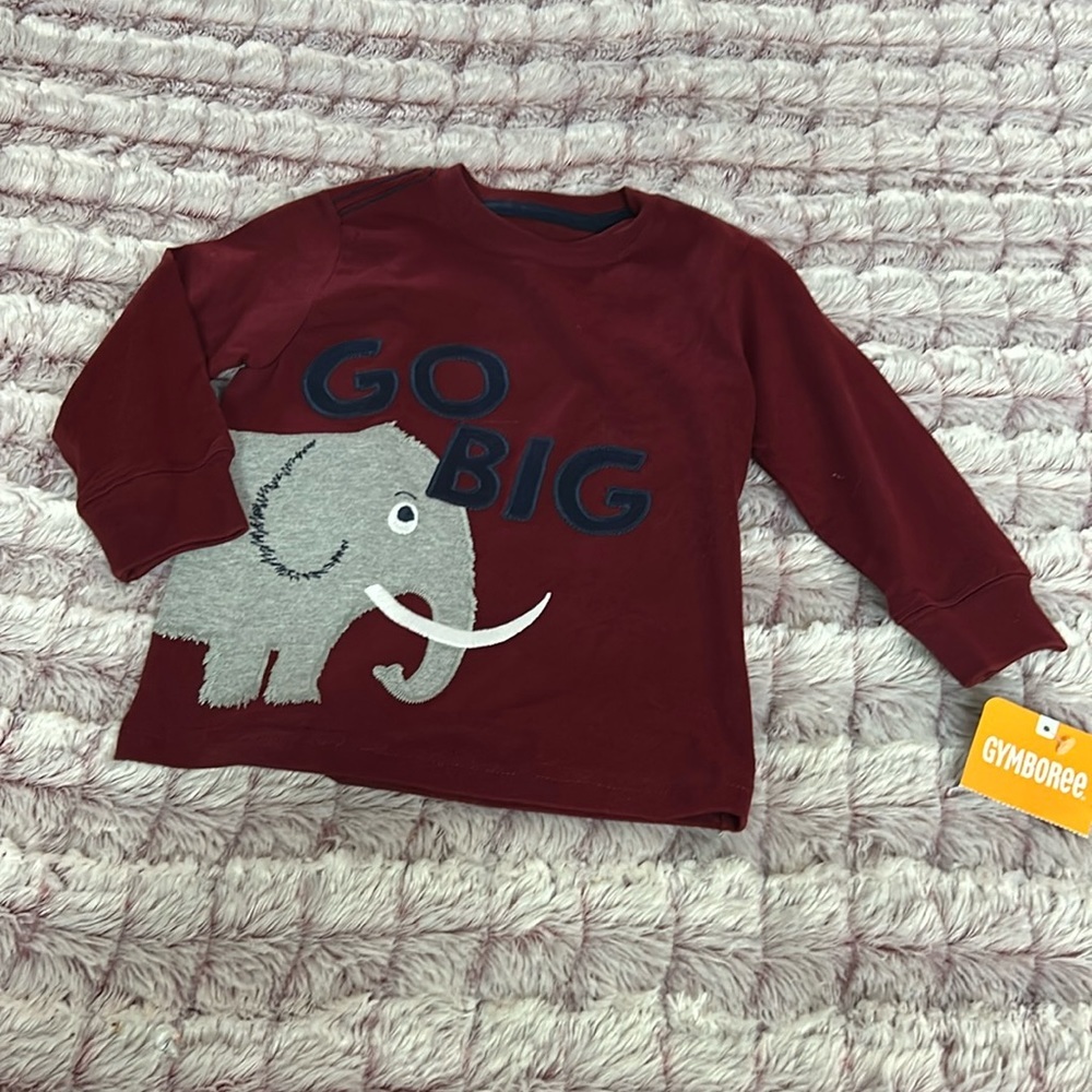 Gymboree Long sleeve Go Big pullover over size 18-24 m
